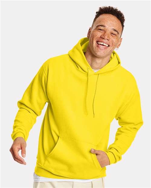 Unisex EcoSmart® Hooded Sweatshirt - P170