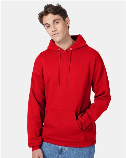 Unisex EcoSmart® Hooded Sweatshirt - P170