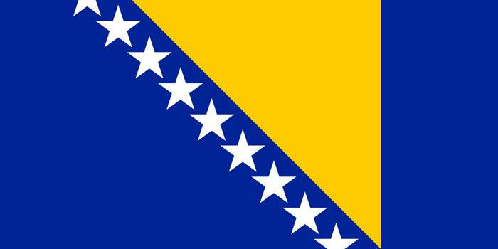 Bosnia and Herzegovina Flag - Country Flags DTF Transfers