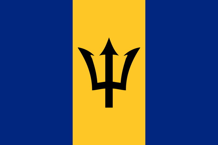 Barbados Flag - Country Flags DTF Transfers