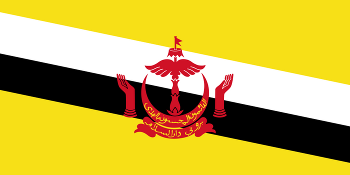 Brunei Flag - Country Flags DTF Transfers