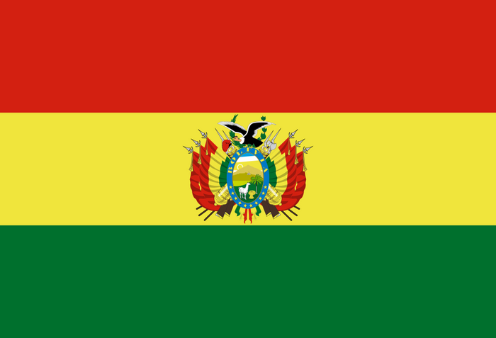 Bolivia Flag - Country Flags DTF Transfers