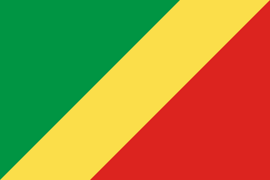 Republic of the Congo Flag - Country Flags DTF Transfers transfer-kingdom
