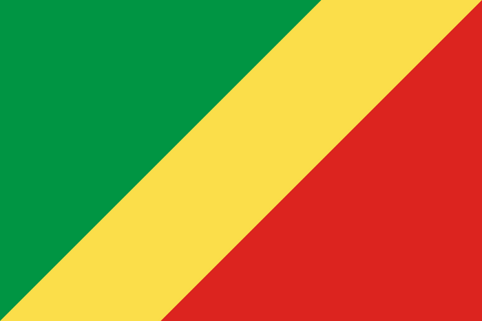 Republic of the Congo Flag - Country Flags DTF Transfers