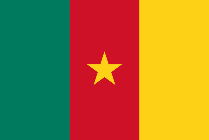 Cameroon Flag - Country Flags DTF Transfers
