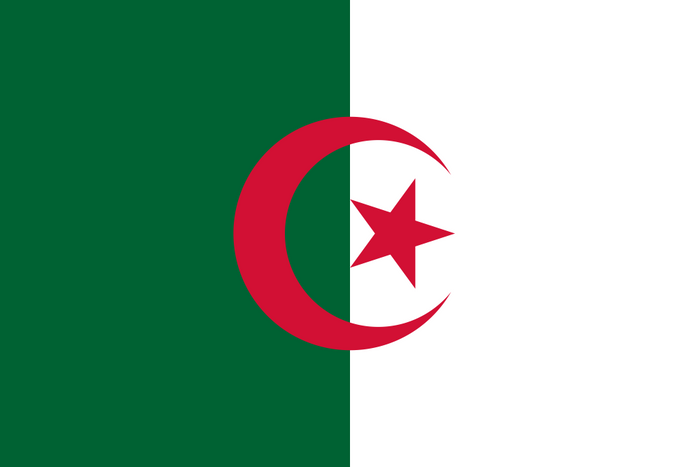 Algeria Flag - Country Flags DTF Transfers