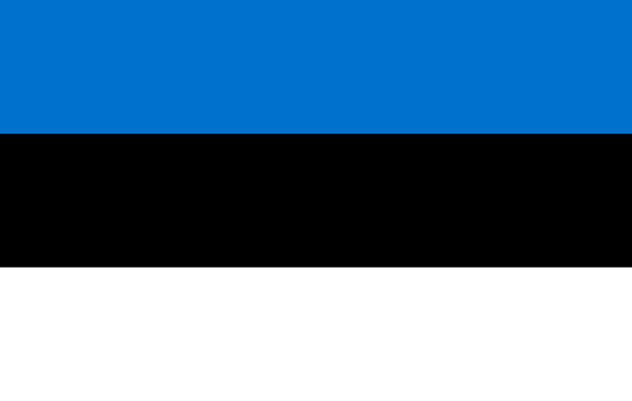 Estonia Flag - Country Flags DTF Transfers