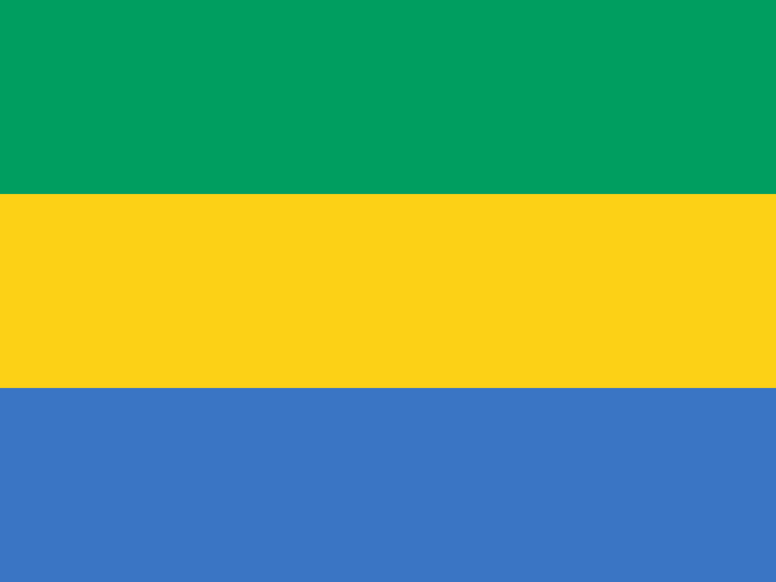 Gabon Flag - Country Flags DTF Transfers