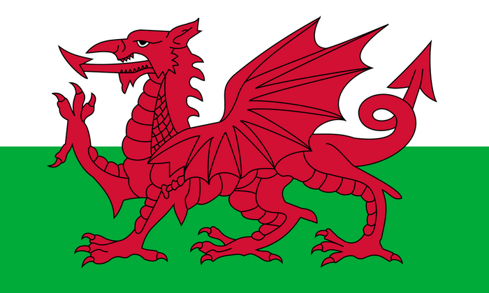 Wales Flag - Country Flags DTF Transfers