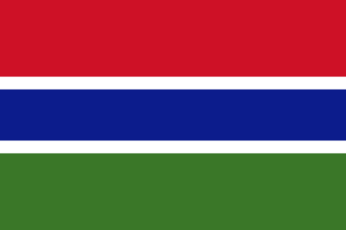 Gambia Flag - Country Flags DTF Transfers