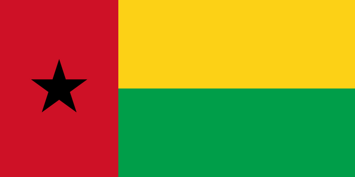 Guinea-Bissau Flag - Country Flags DTF Transfers