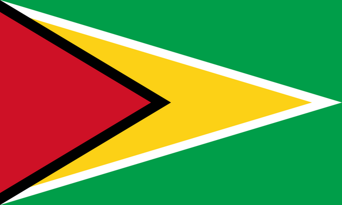 Guyana Flag - Country Flags DTF Transfers