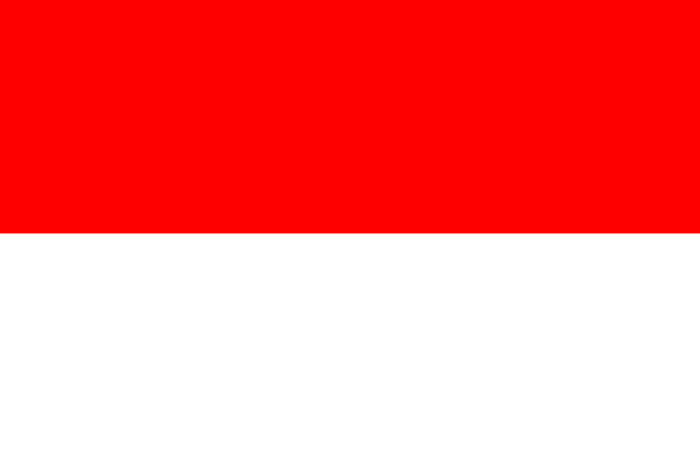 Indonesia Flag - Country Flags DTF Transfers