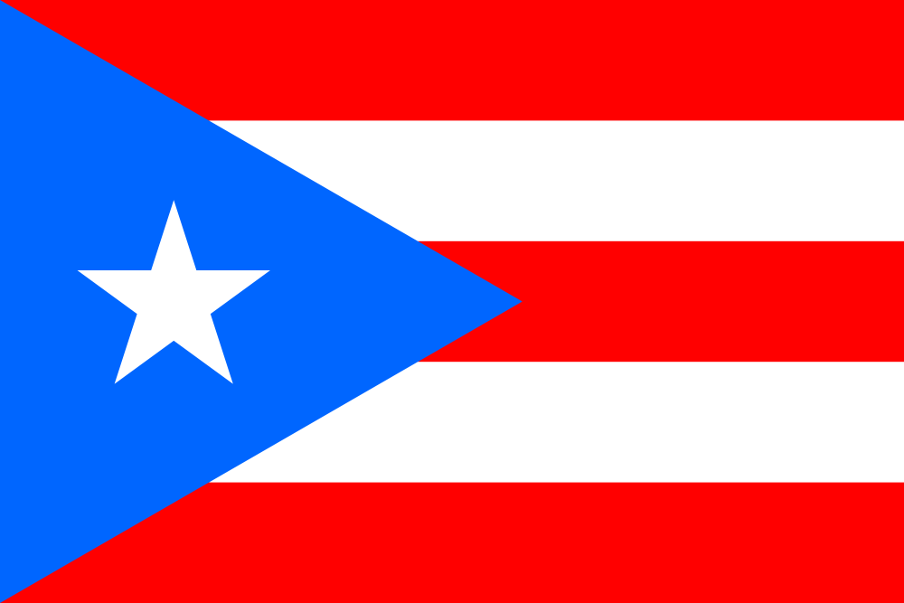 Puerto Rico Flag - Country Flags DTF Transfers