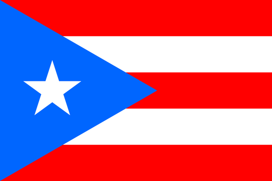 Puerto Rico Flag - Country Flags DTF Transfers