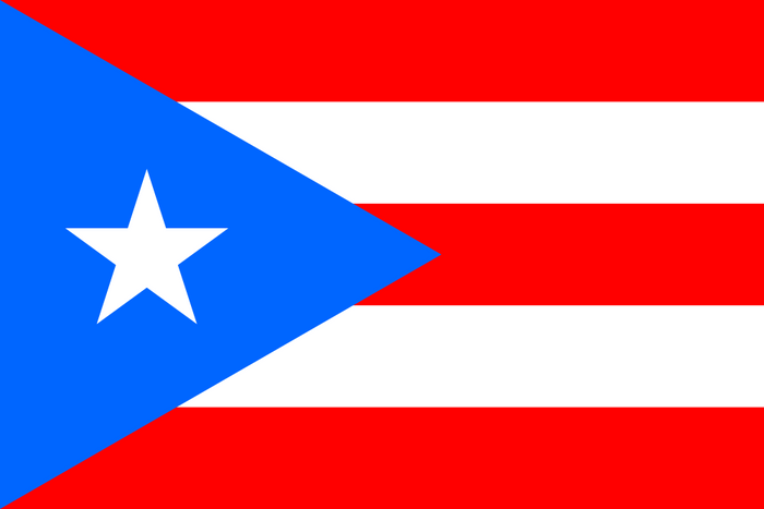 Puerto Rico Flag - Country Flags DTF Transfers