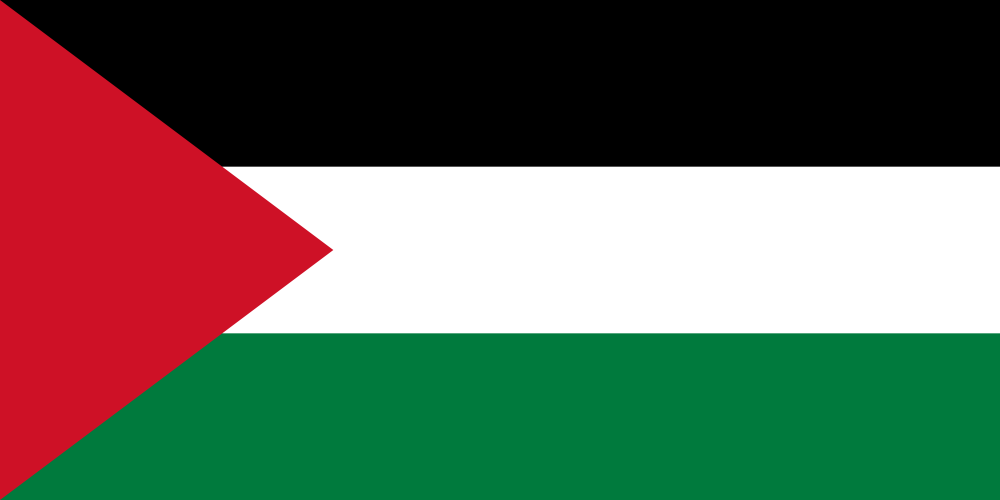 Palestine Flag - Country Flags DTF Transfers