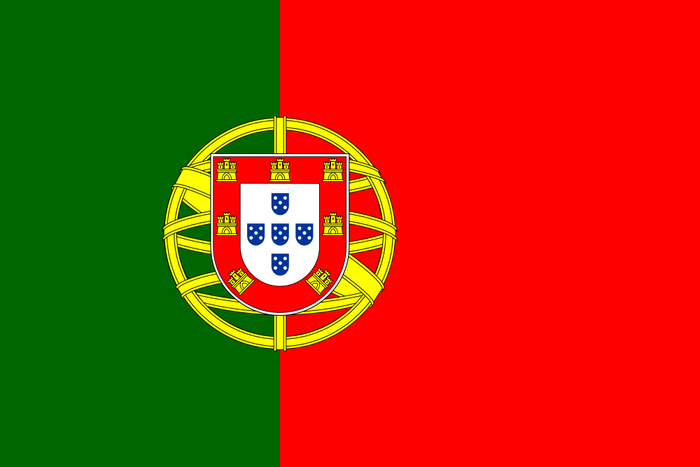 Portugal Flag - Country Flags DTF Transfers