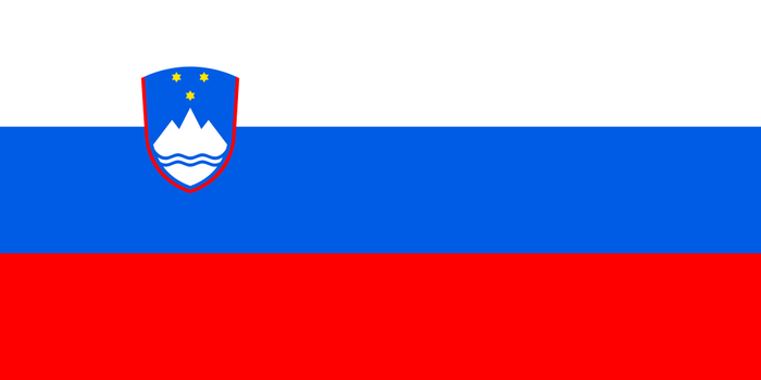Slovenia Flag - Country Flags DTF Transfers
