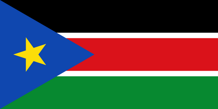 South Sudan Flag - Country Flags DTF Transfers