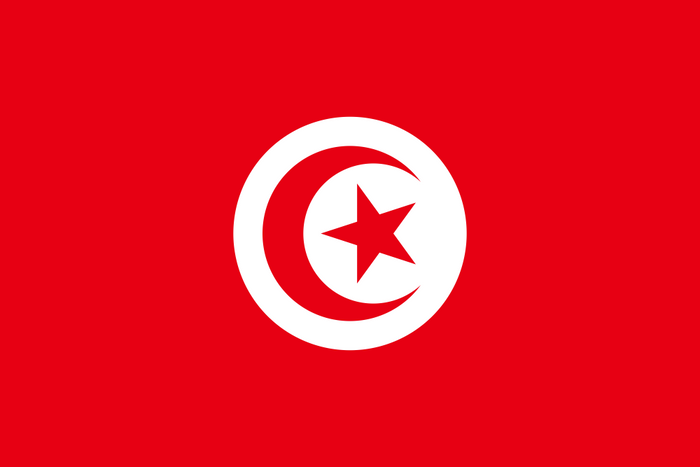 Tunisia Flag - Country Flags DTF Transfers