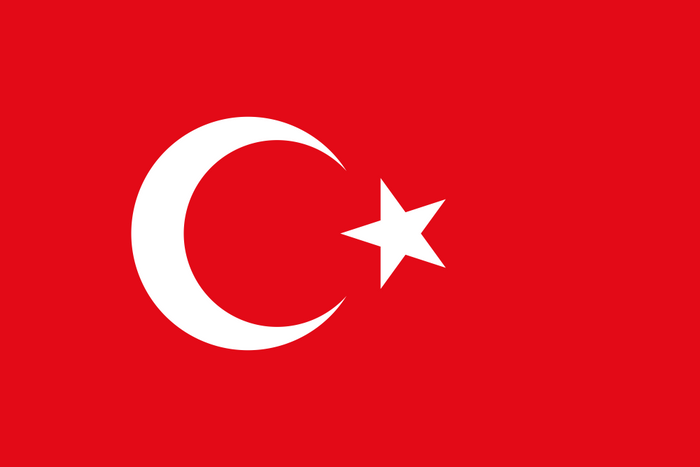 Turkey Flag - Country Flags DTF Transfers