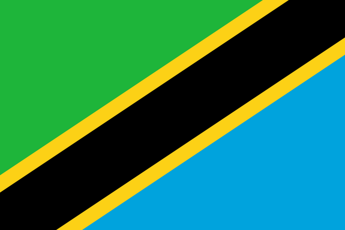 Tanzania Flag - Country Flags DTF Transfers