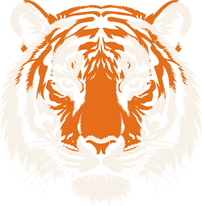 Tiger Face - Animals DTF Transfers