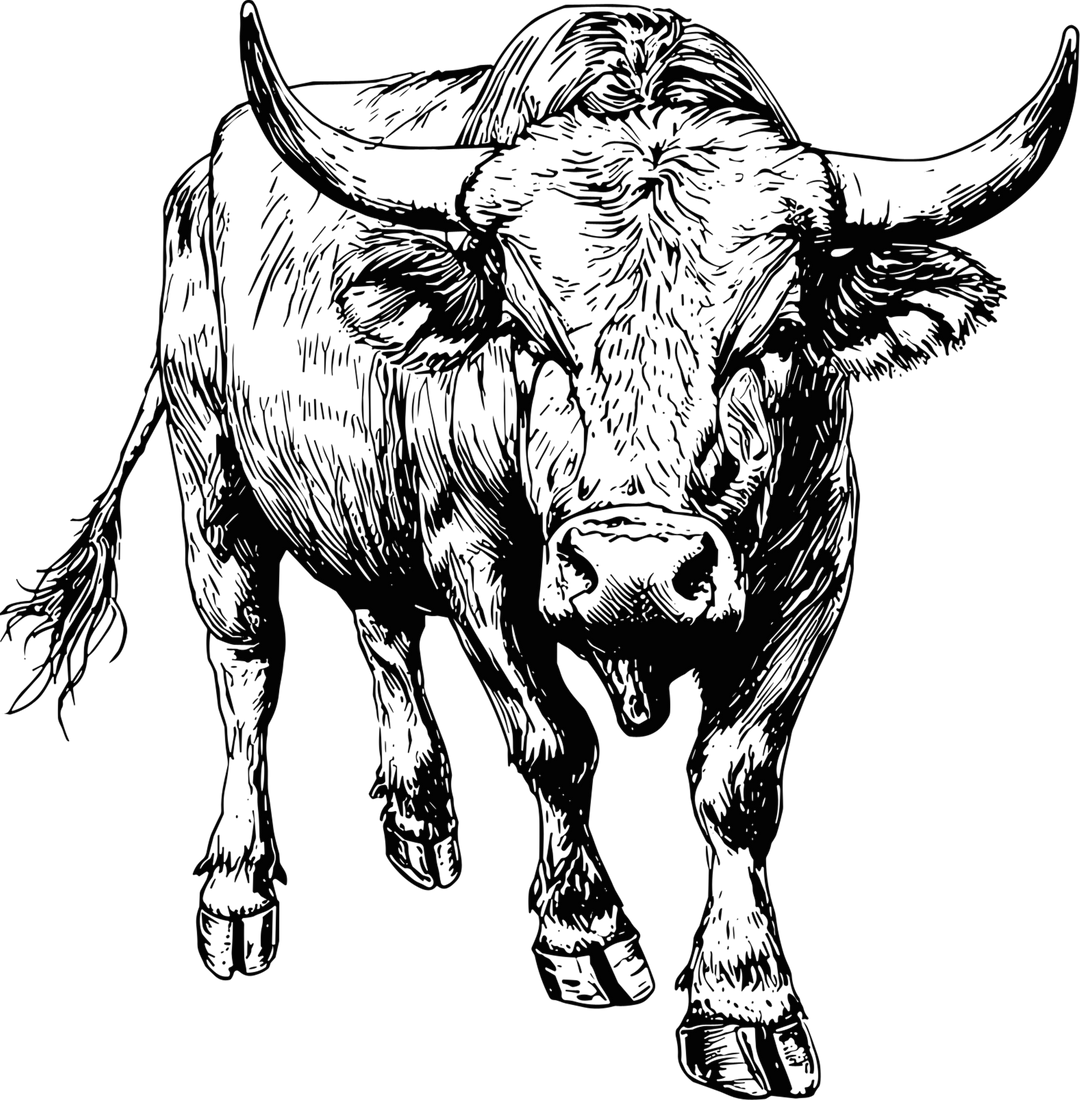Bull B&W - Animals DTF Transfers