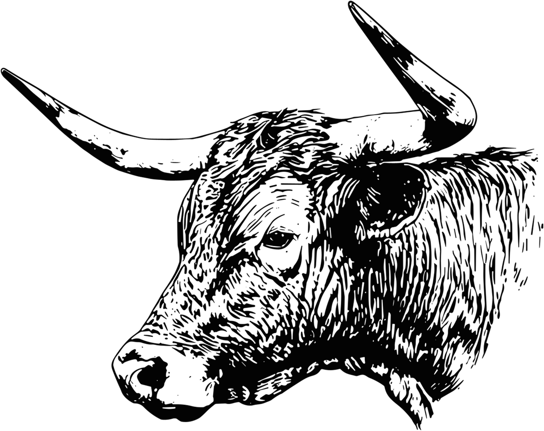 Bull B&W Design - Animals DTF Transfers