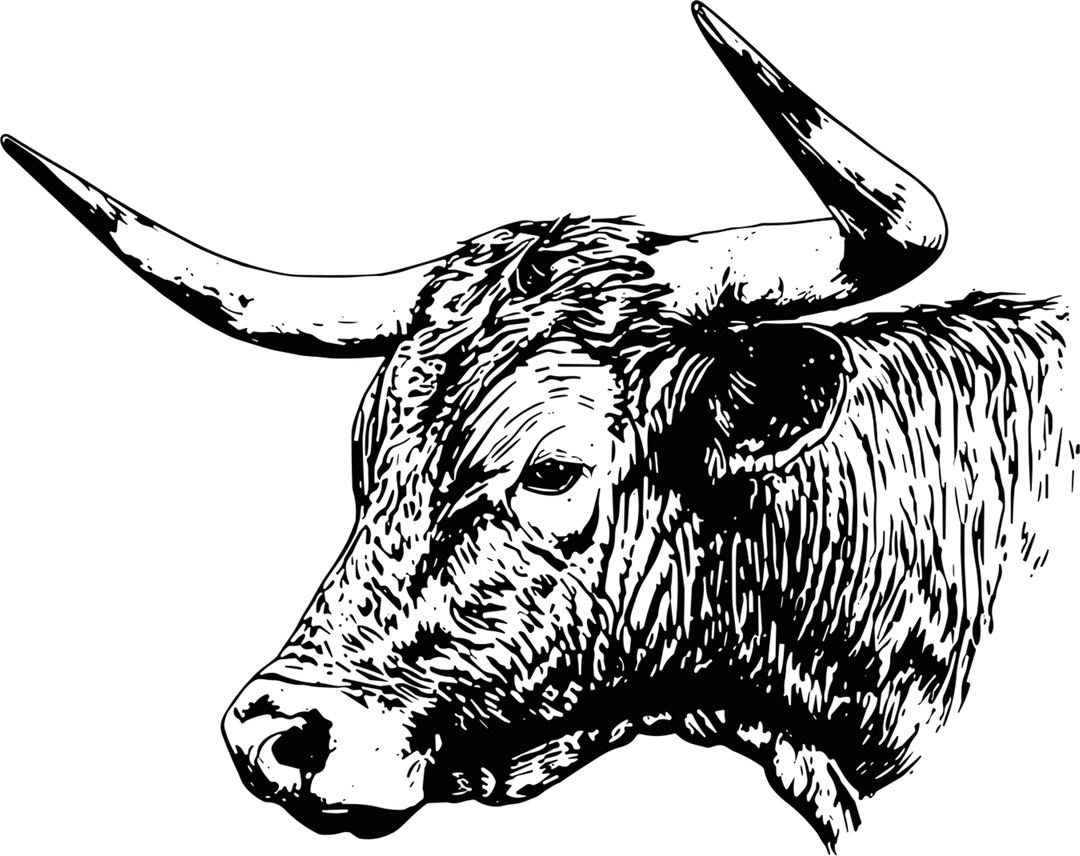 Bull B&W Design - Animals DTF Transfers