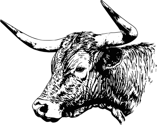 Bull B&W Design - Animals DTF Transfers