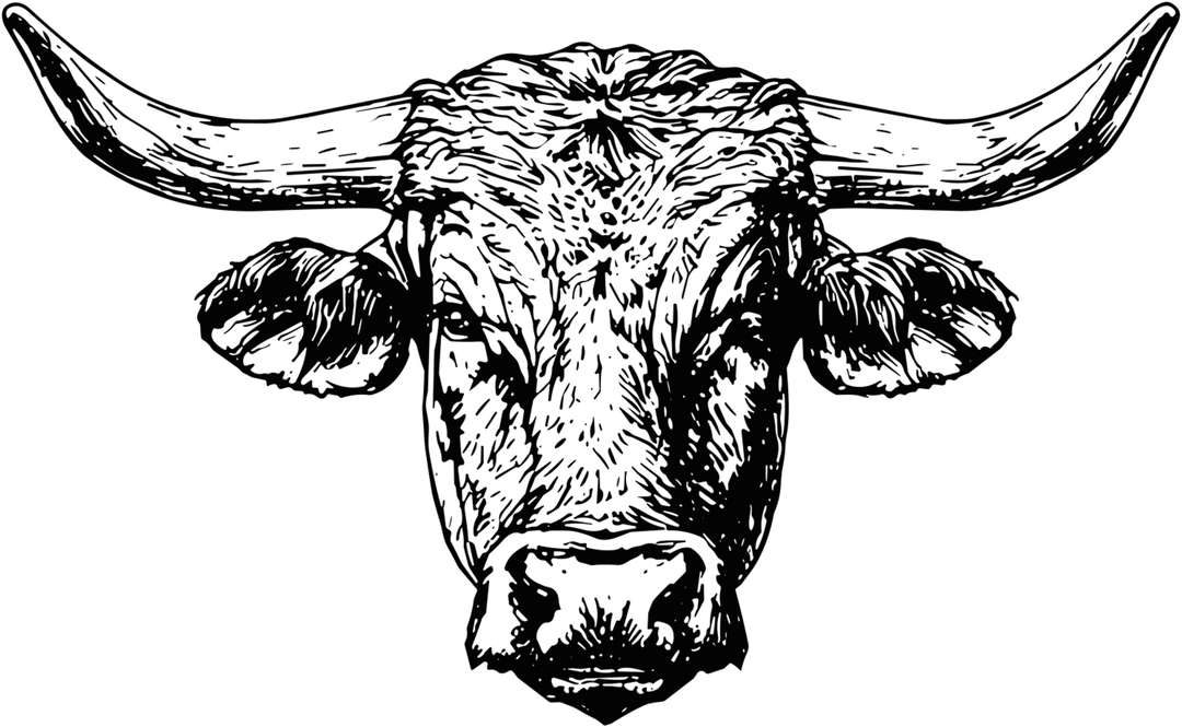 Bull B&W Face - Animals DTF Transfers