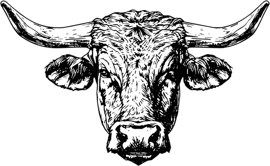 Bull B&W Face - Animals DTF Transfers