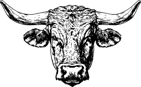 Bull B&W Face - Animals DTF Transfers