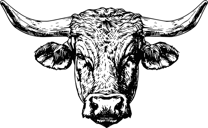 Bull B&W Face - Animals DTF Transfers