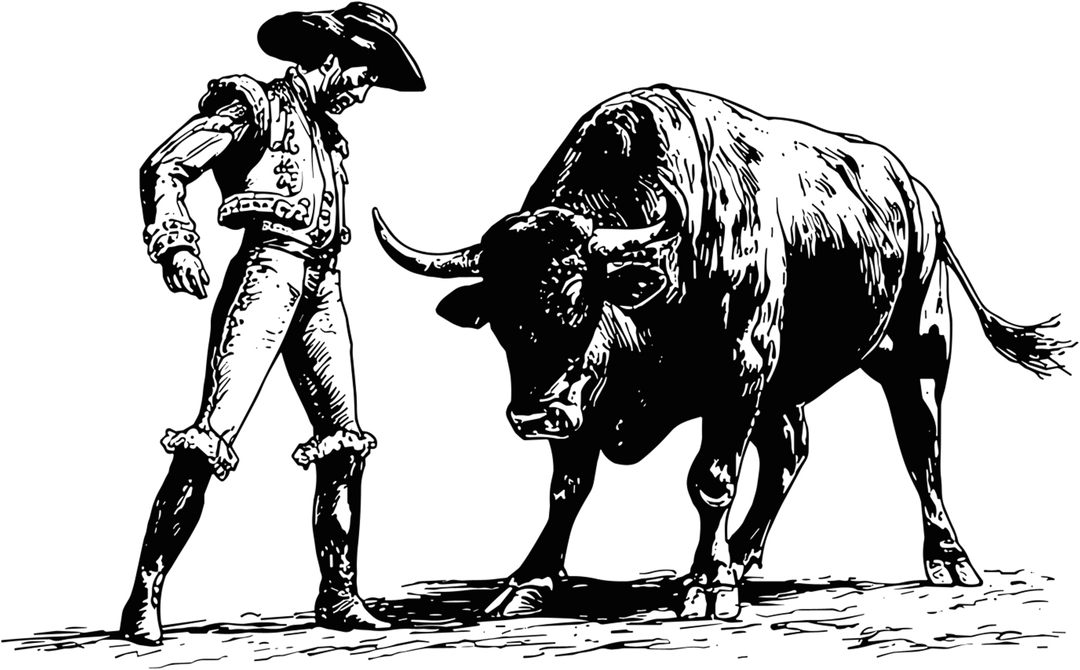 Matador & Bull - Animals DTF Transfers