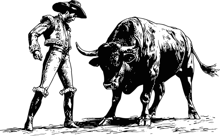 Matador & Bull - Animals DTF Transfers