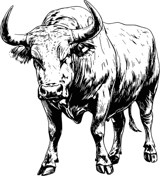 Bull Standing - Animals DTF Transfers