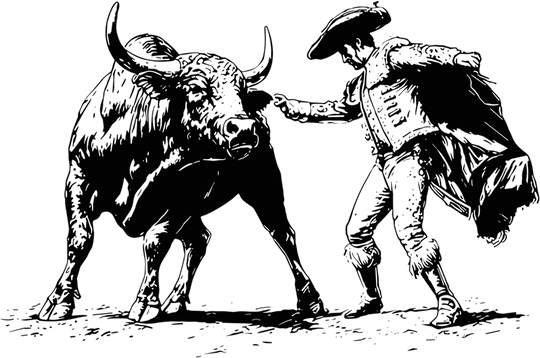 Bull & Matador - Animals DTF Transfers