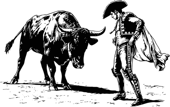 Bull And Matador B&W - Animals DTF Transfers