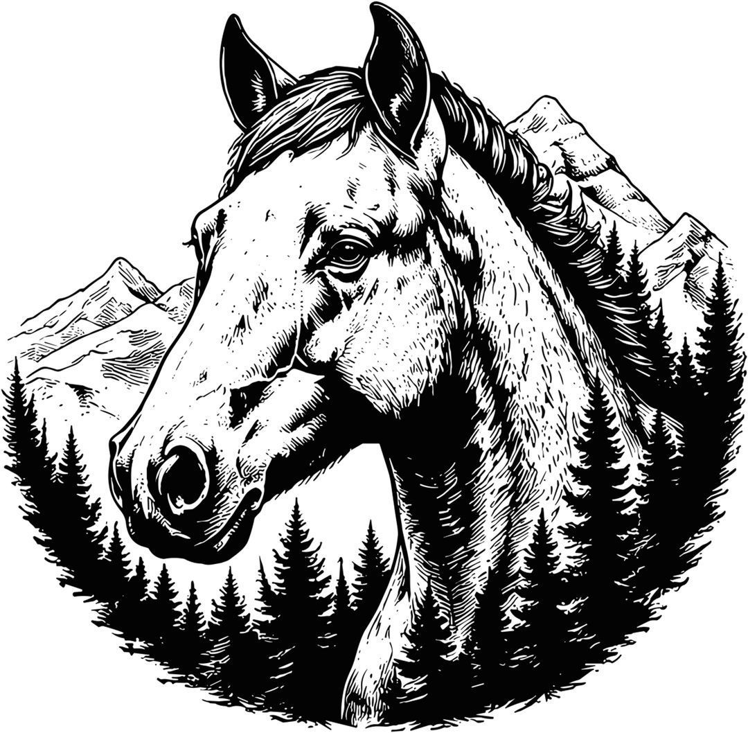 Horse B&W - Animals DTF Transfers