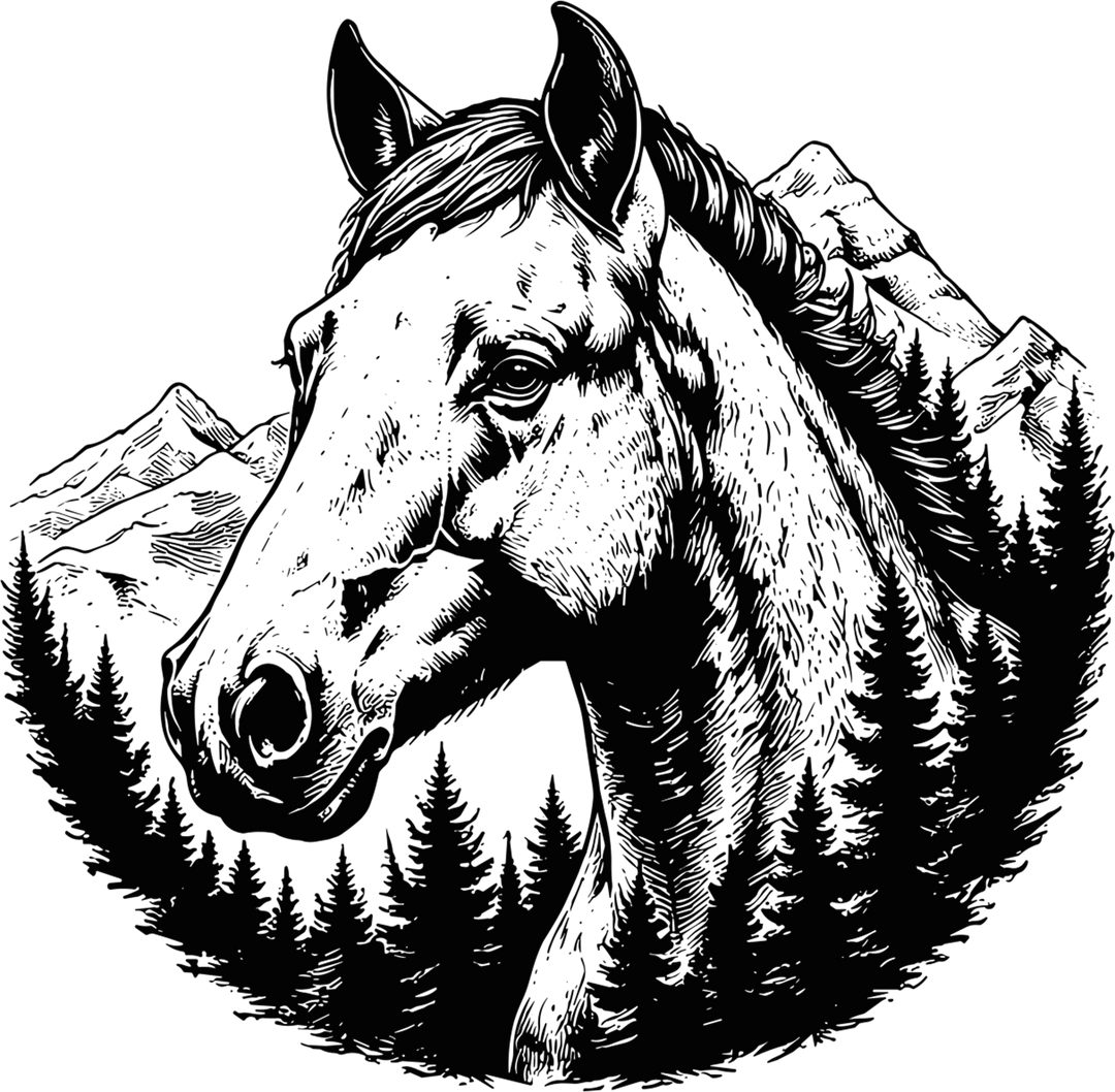 Horse B&W - Animals DTF Transfers
