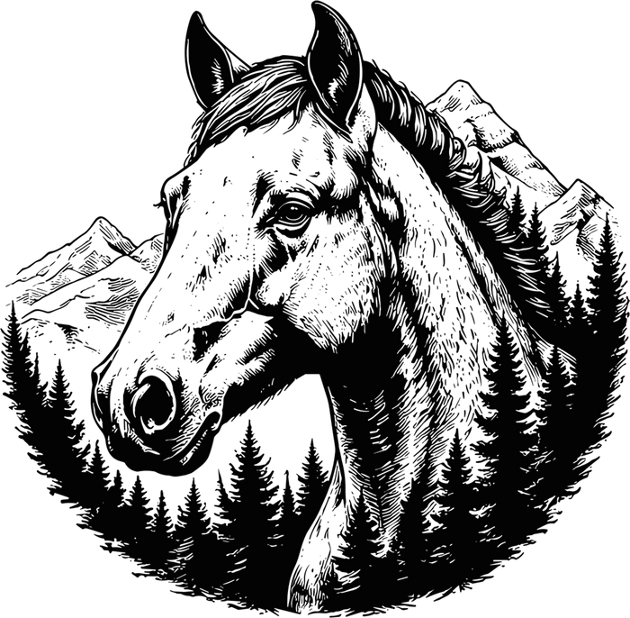 Horse B&W - Animals DTF Transfers