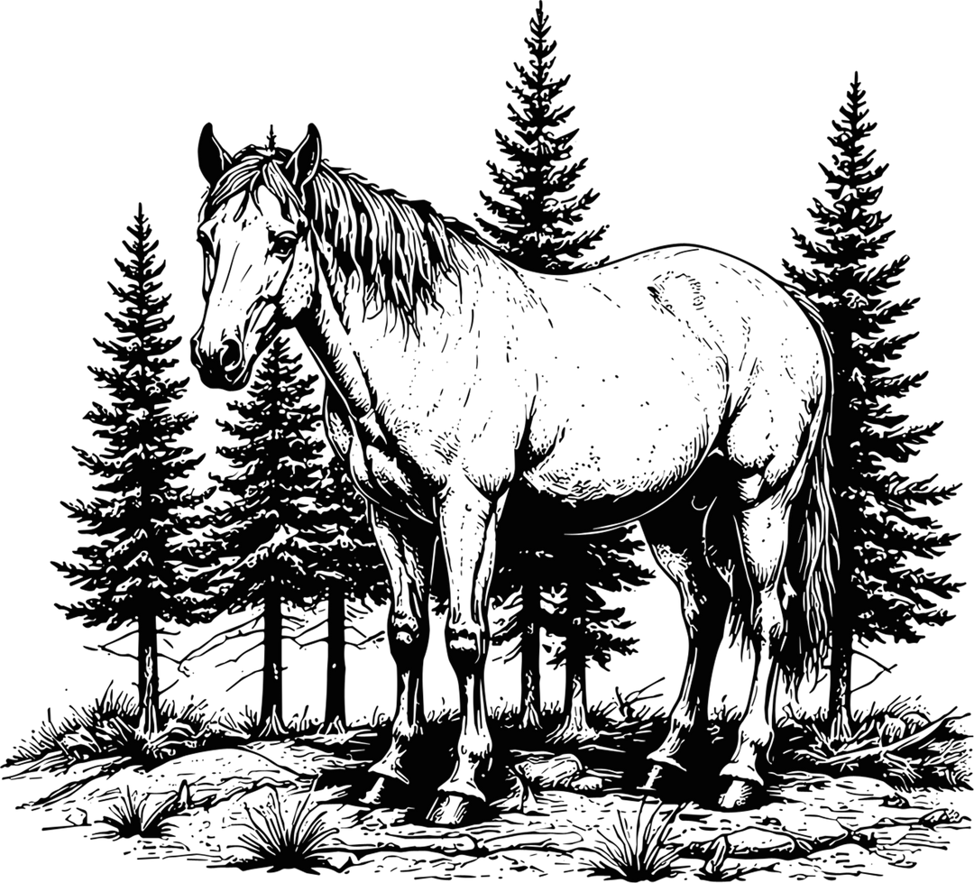 Horse In Wild - Animals DTF Transfers