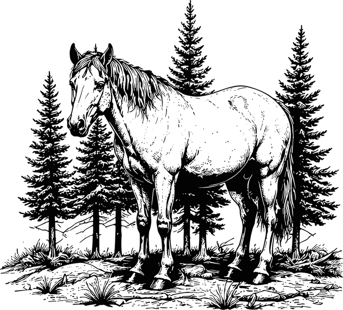 Horse In Wild - Animals DTF Transfers