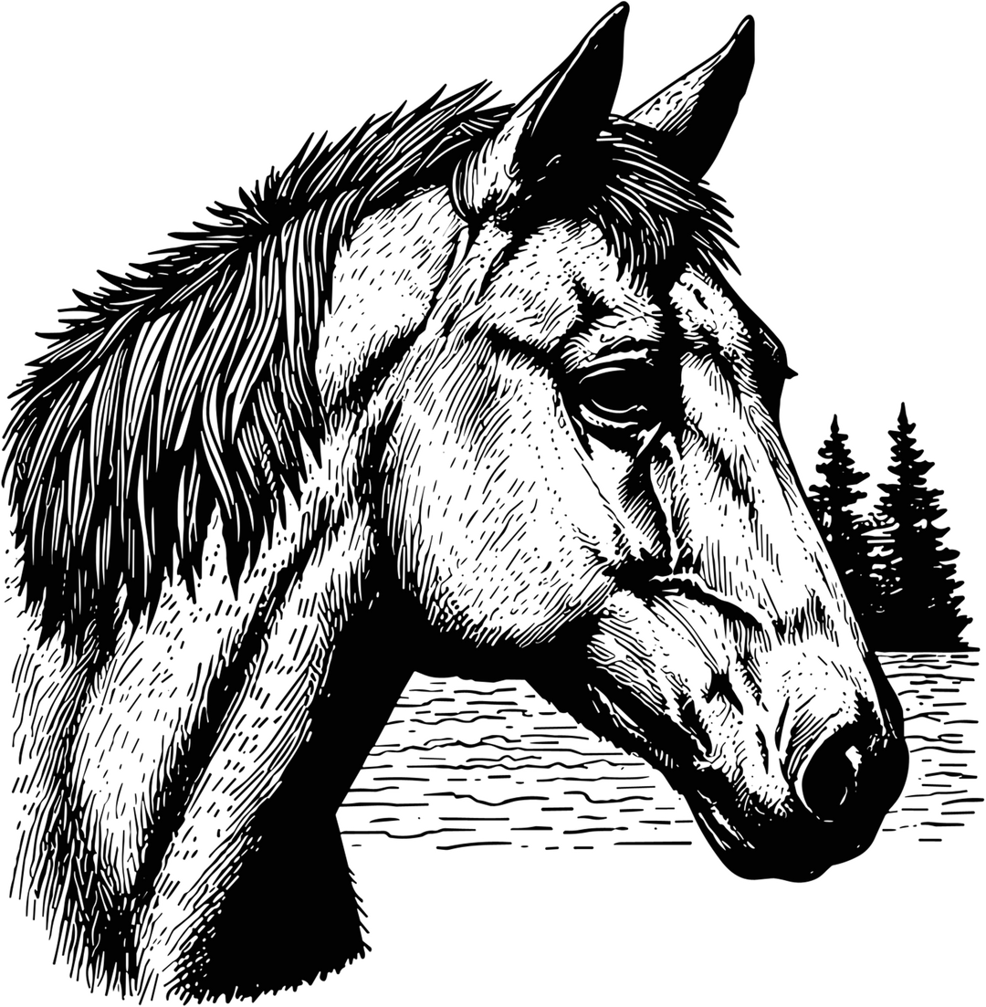 Horse Portrait B&W - Animals DTF Transfers