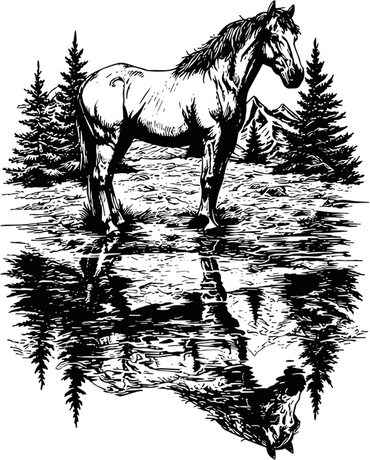 Horse Reflection - Animals DTF Transfers