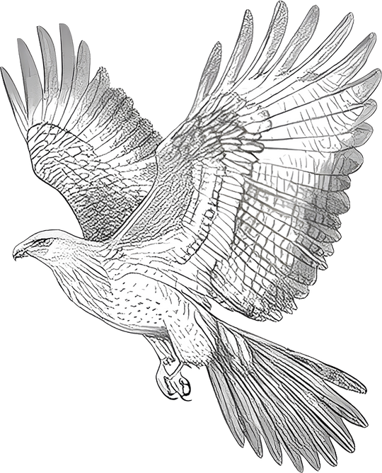 Eagle B&W - Animals DTF Transfers