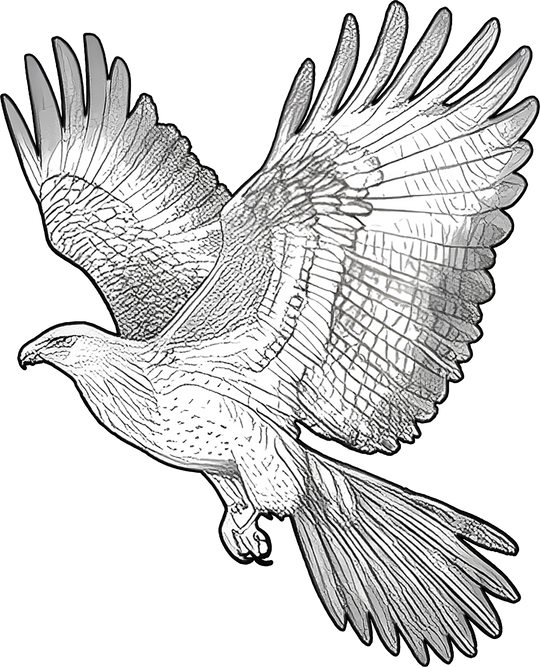 Eagle B&W - Animals DTF Transfers